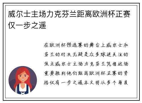 威尔士主场力克芬兰距离欧洲杯正赛仅一步之遥